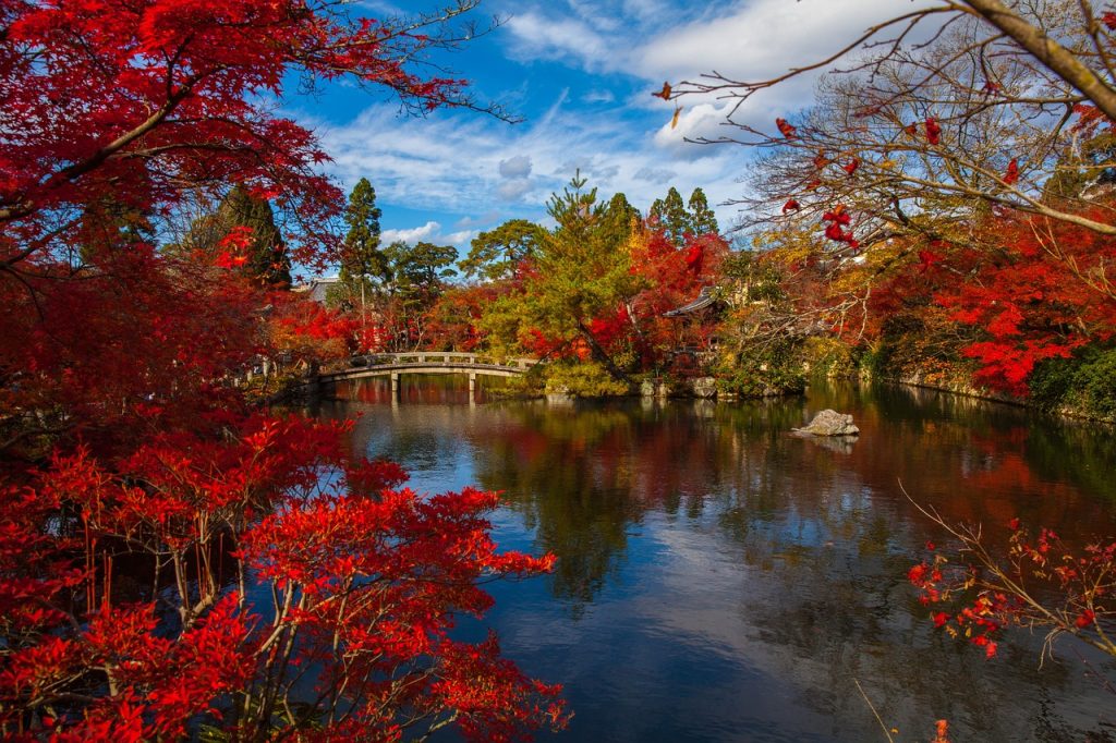 Momiji, de herfst in Japan